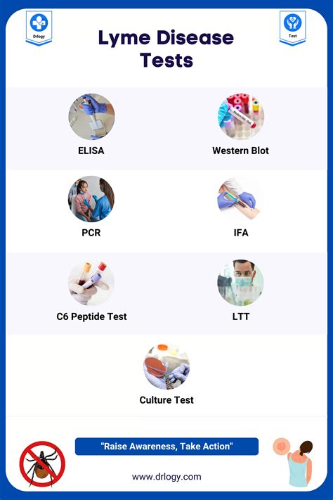 elisa test lyme|igg positive for lyme.